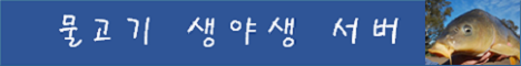 물고기 서버 서버 배너