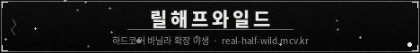 릴해프와일드 서버 배너